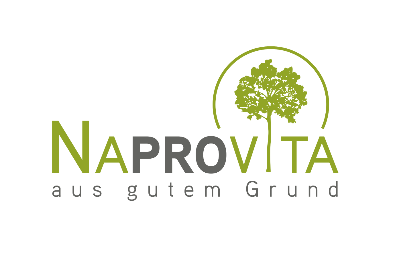 Navarts Webdesign Berlin - Naprovita Logo